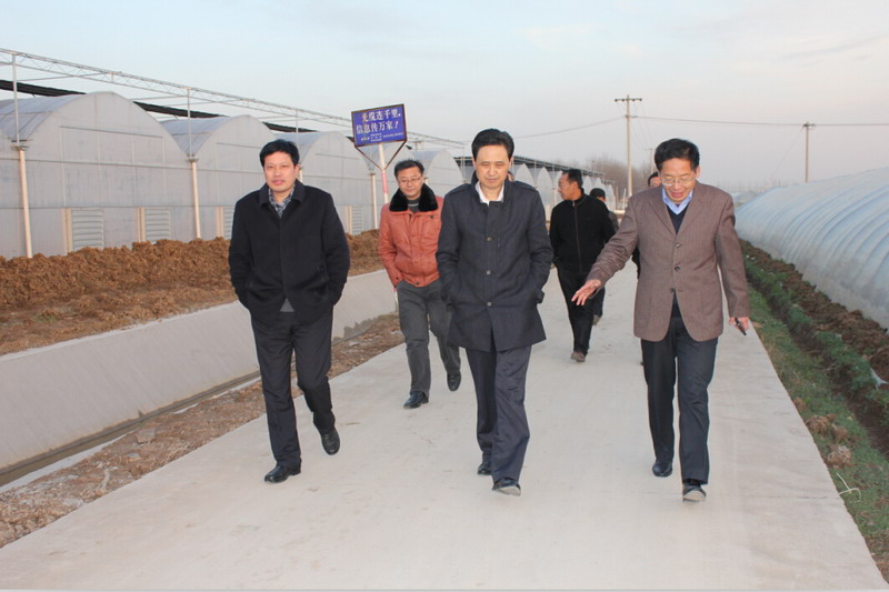 12月1日,寿县县委常委许支禄率县委办,农委,林业局,农机局负责人考察