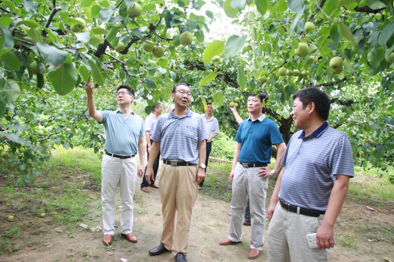 李卓民李丰荣赴皖北农场调研督导_安徽农垦信息网