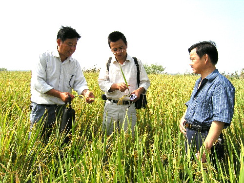 潘湖村人口_绯村剑心真人